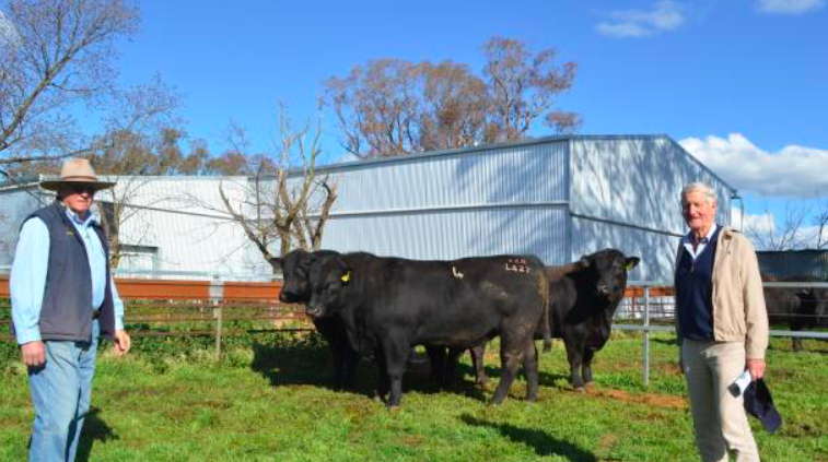 Onslow Angus co-principal Doug Tozer and Nigel Campbell, Kinloch Angus, Perth, Tasmania with Onslow Design L426 he purchased for $17,000. Mr Campbell has been an Onslow Angus client for the past 16 years.