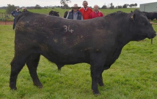 2016 Onslow Angus On Property Bull Sale results