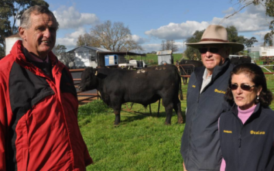 2015 Onslow On Property Bull Sale Results