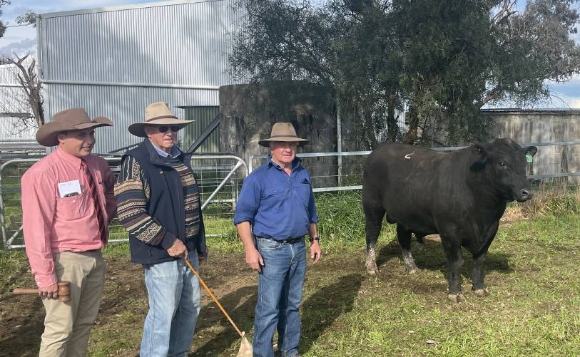 2022 Sale – Onslow Angus bulls sold to repeat buyers with some new clients