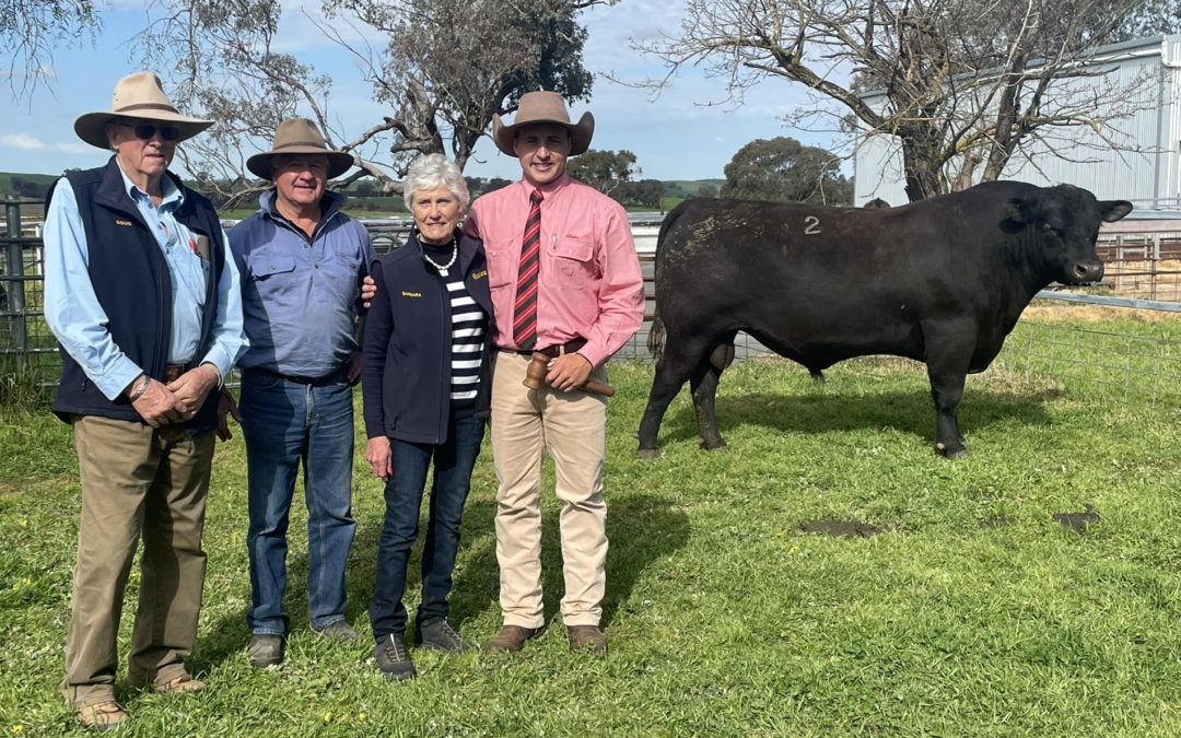 2023 Onslow Annual Bull Sale